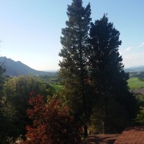 REM 2017 Civitella (1)