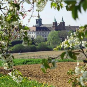 Oelenberg ben abb (1)