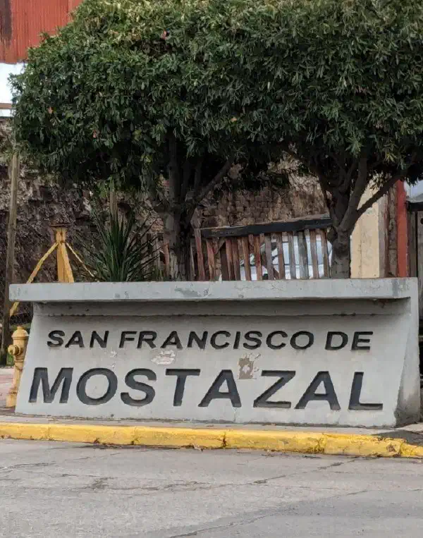 Comisión Central 2024