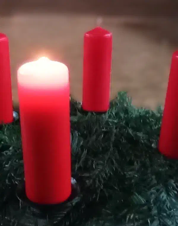 1ª Semana de Adviento