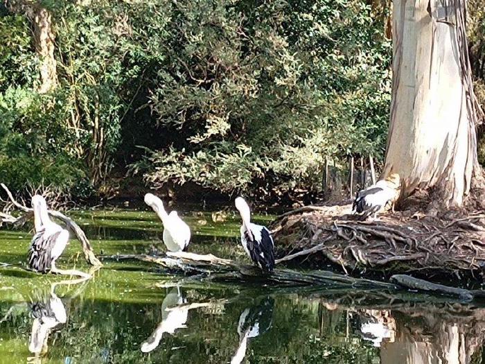 IMG_20230316_105602925