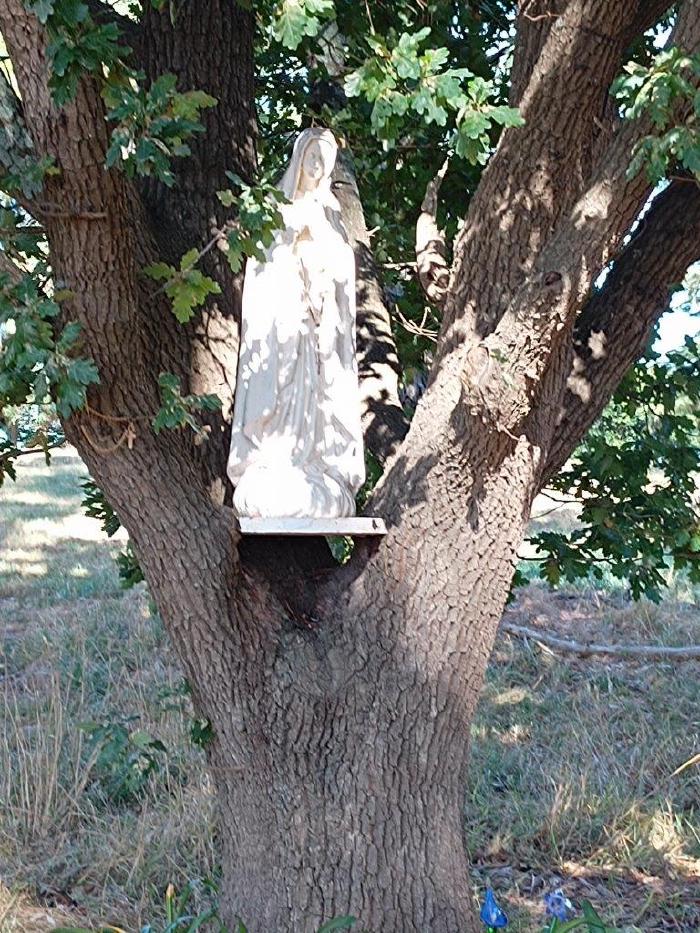 IMG_20230317_163829276-1