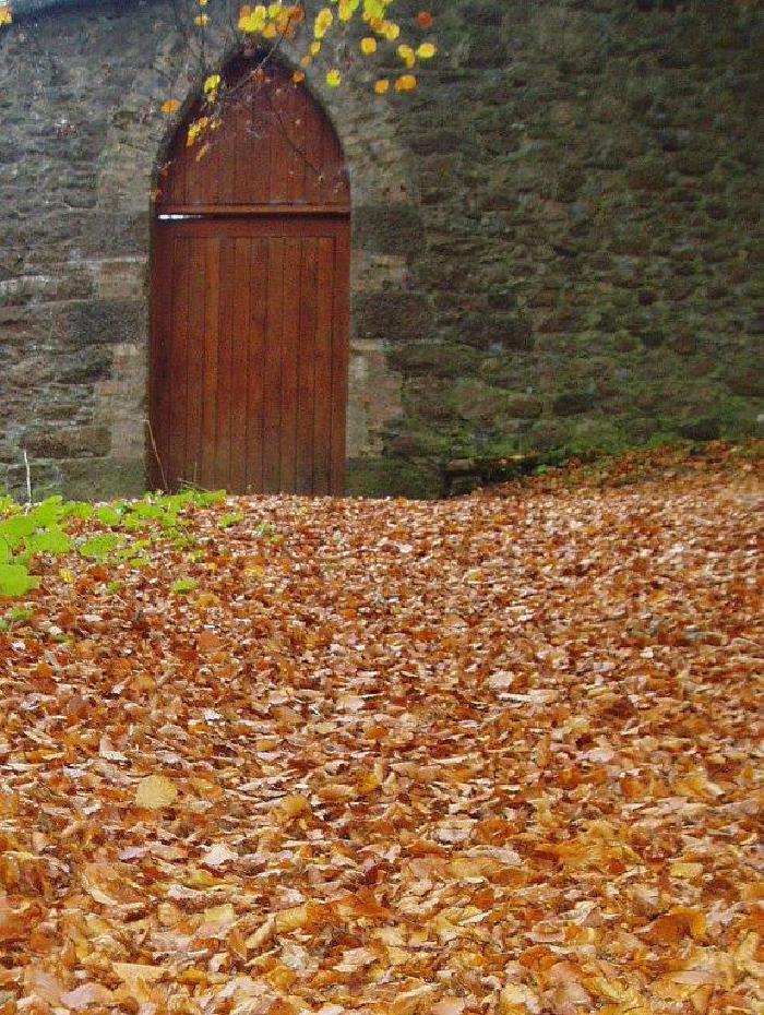 roscrea