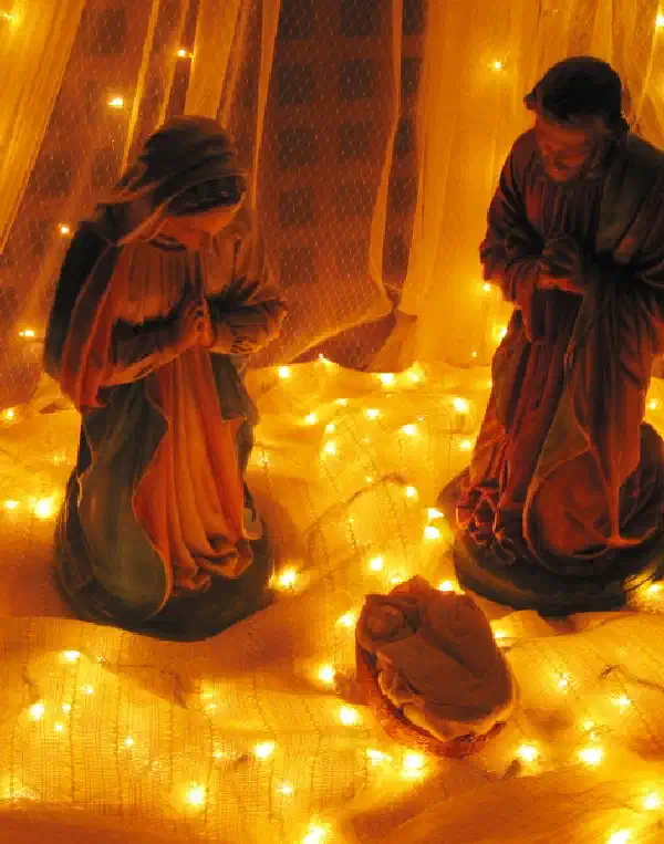 Noël 2016 - 2