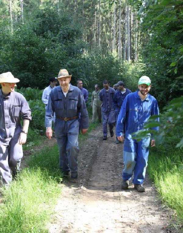 Order of Cistercians of the Strict Observance