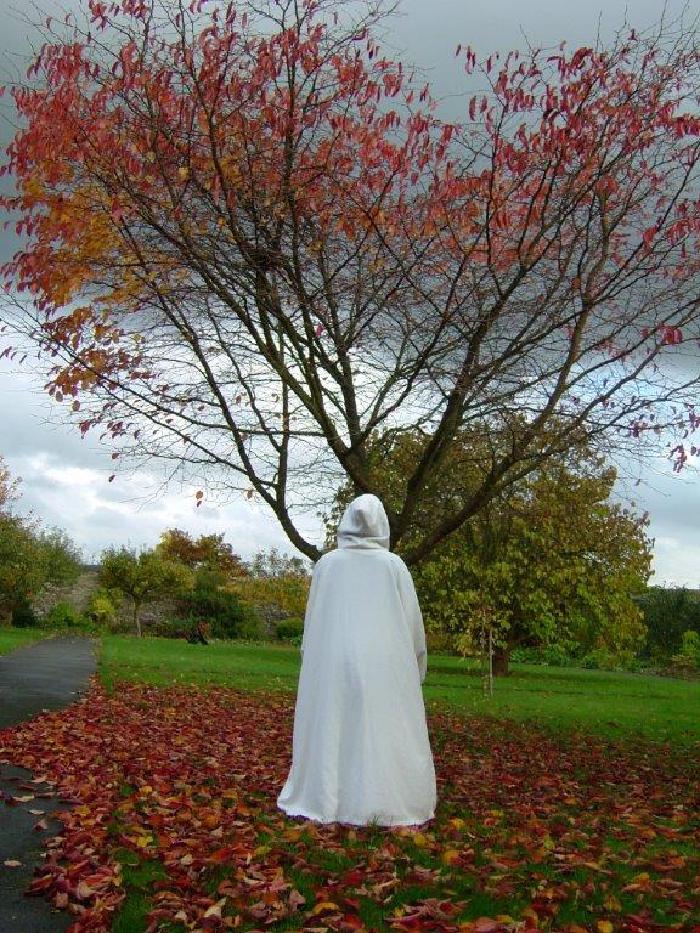 Mount-Saint-Bernard