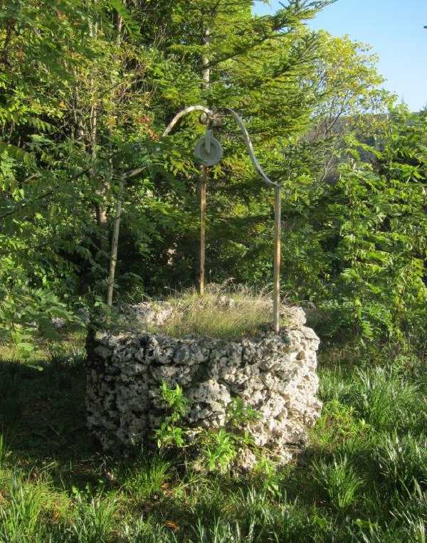 Order of Cistercians of the Strict Observance