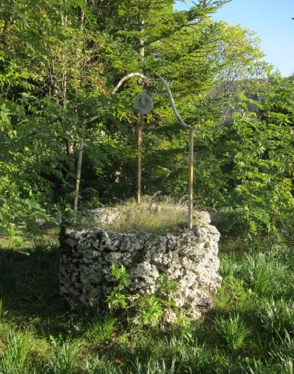 “Give me to drink”