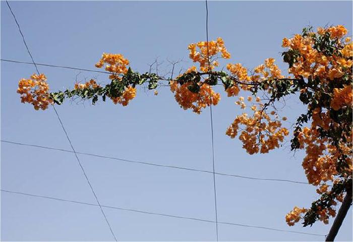 07-latroun-2