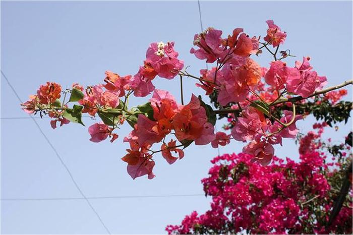 09-latroun-2