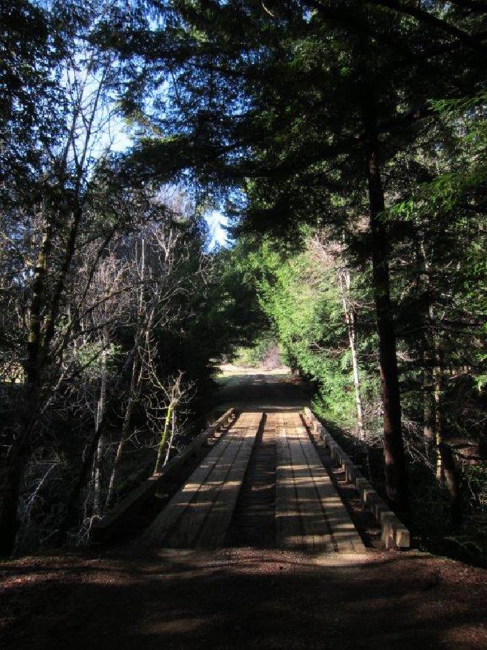 Redwoods