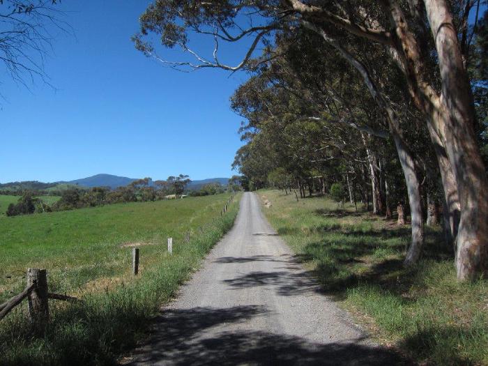 Tarrawarra