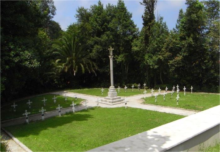 Viaceli