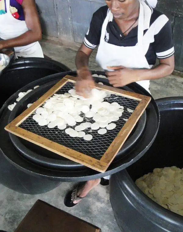 Opera Manuum Cotidiana