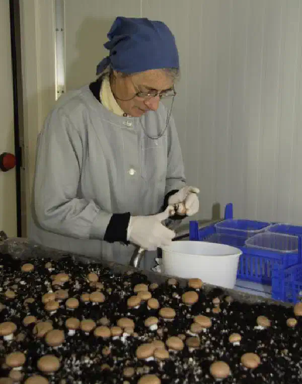 Ora et Labora