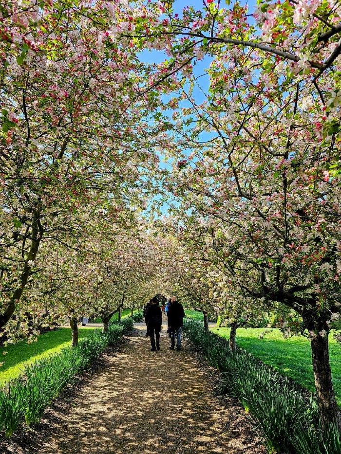 ORIENS-English-Speaking-Subregion-Meeting-6-12-September-2023-in-Tarrawarra-8