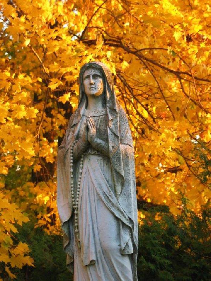 Spencer_our-lady-of-Lourdes