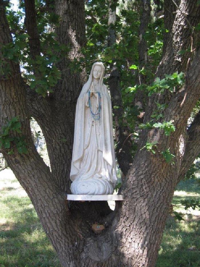 Tarrawarra