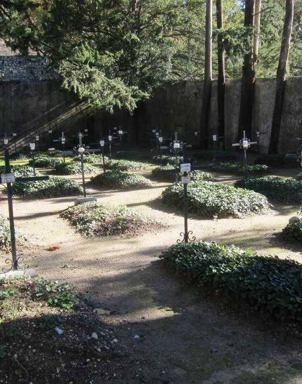 Order of Cistercians of the Strict Observance