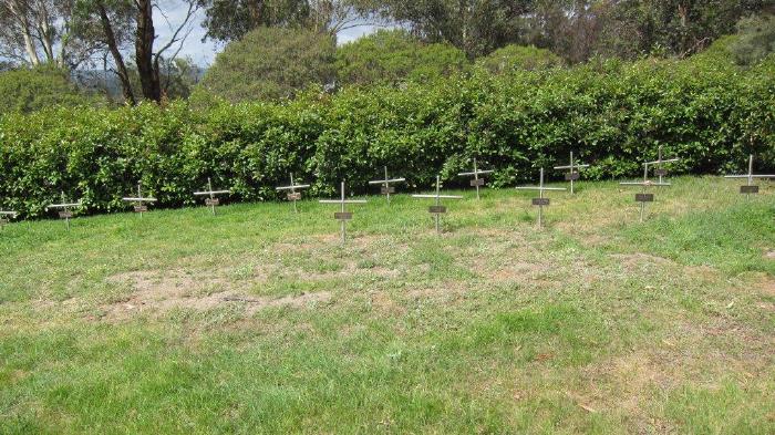Tarrawarra-1