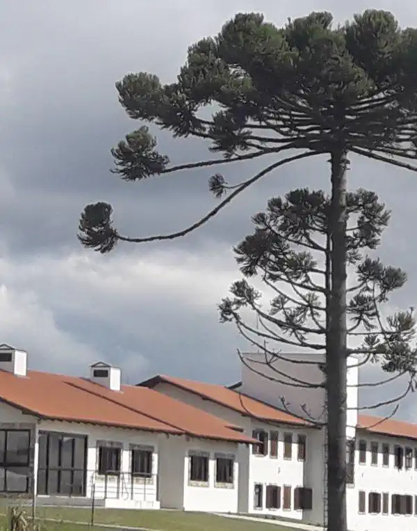 Remila 2019 in Boa Vista