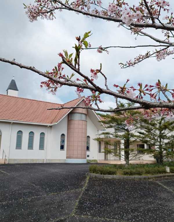 Order of Cistercians of the Strict Observance