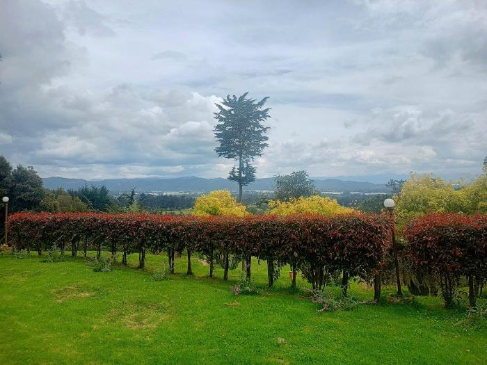 IMG_20231226_124237666_HDR2