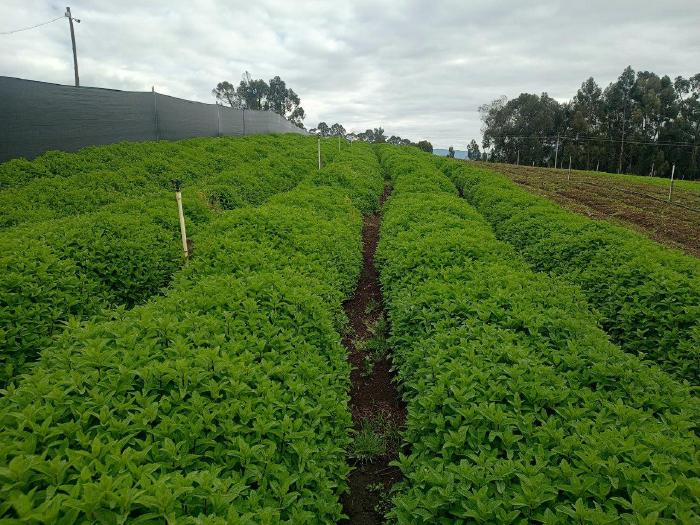 IMG_20231227_090610425_HDR