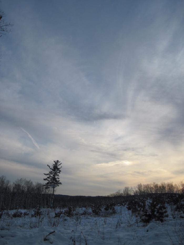 Wrentham-10