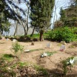 General News 21/05/1996  –  21/05/2016 image 11