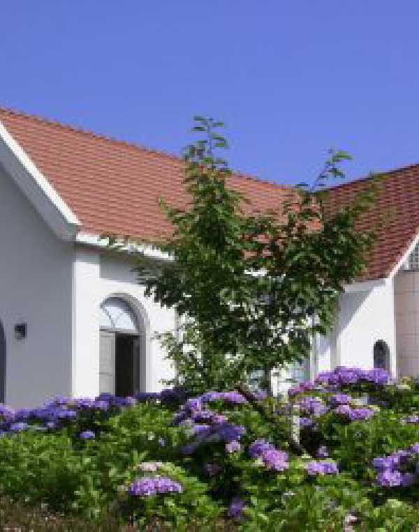 Order of Cistercians of the Strict Observance