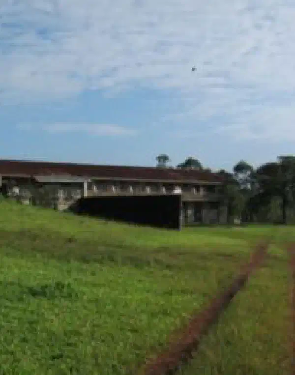 Bamenda