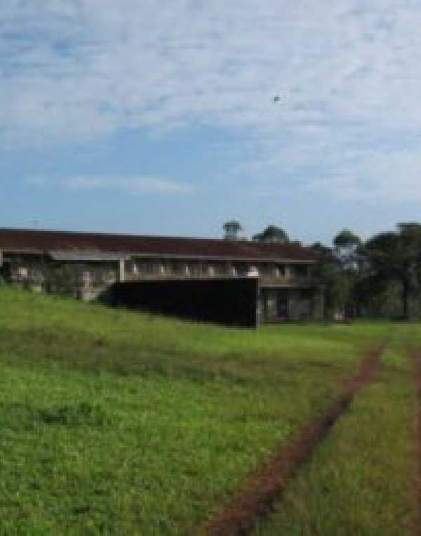 Order of Cistercians of the Strict Observance