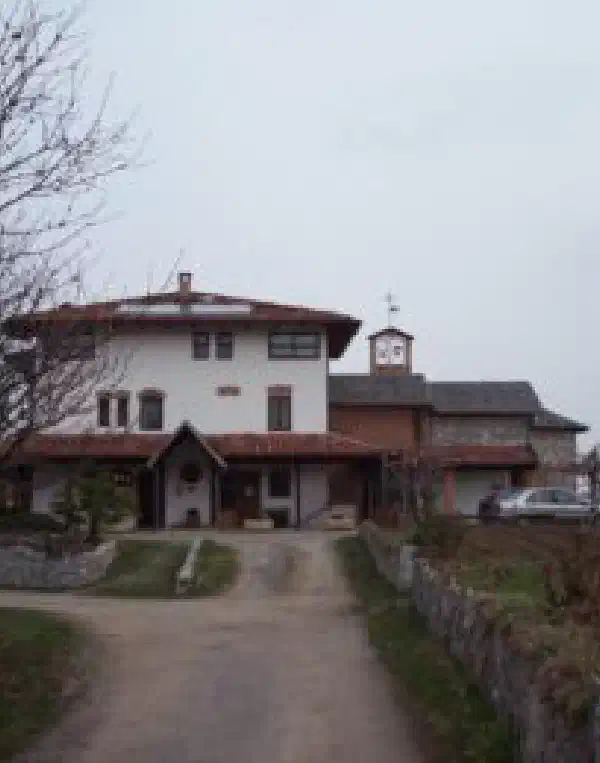 Boschi
