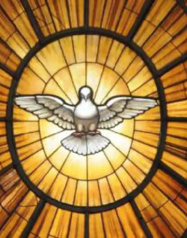 Circular letter of the Abbot General