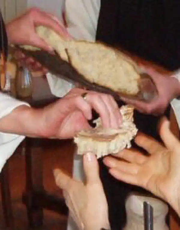 Daily Office Readings