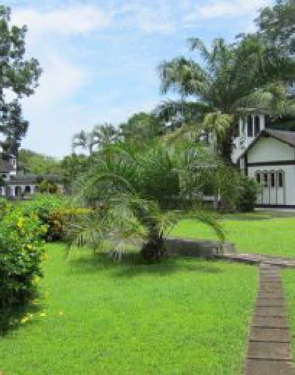 Order of Cistercians of the Strict Observance