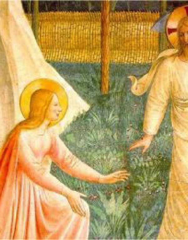 Order of Cistercians of the Strict Observance