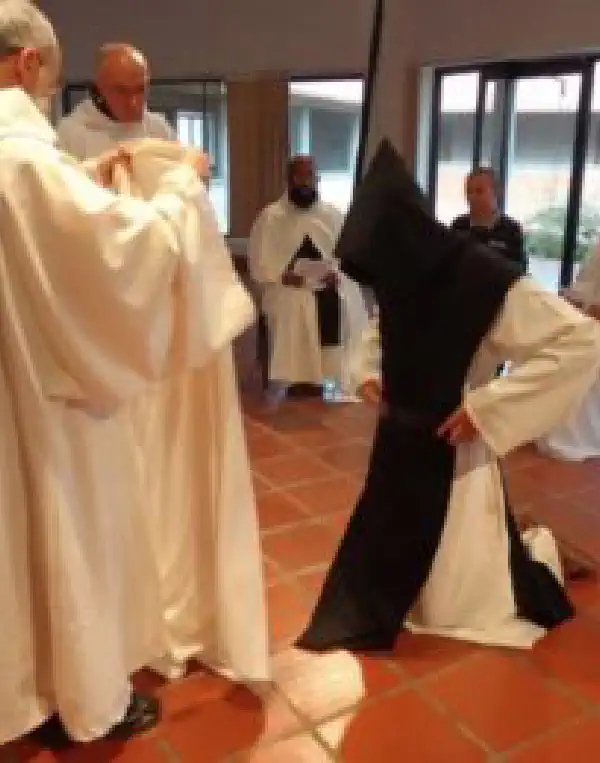 Newsletter Formación