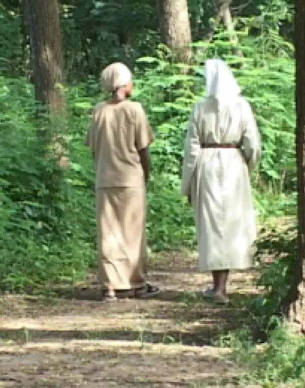 Newsletter Formation