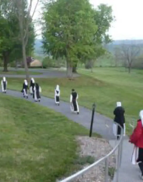 Newsletter Formation