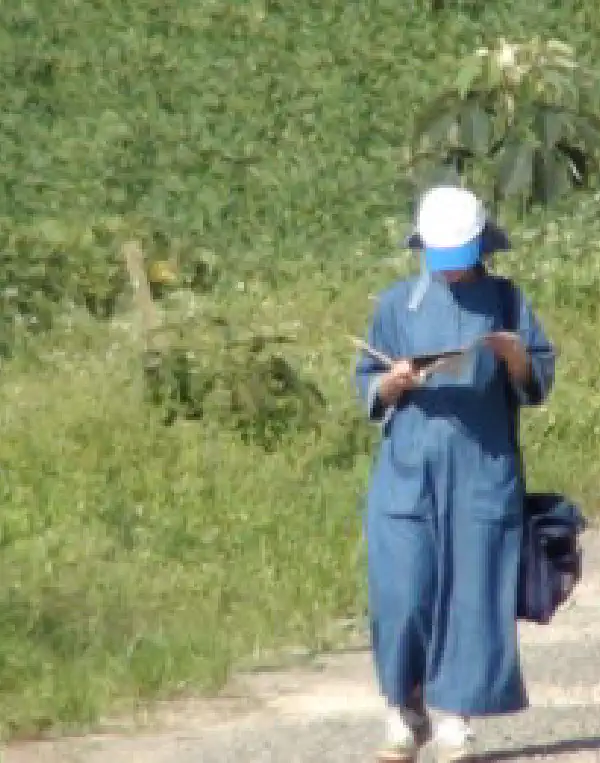 Newsletter Formation