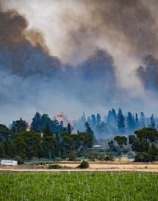 Order of Cistercians of the Strict Observance