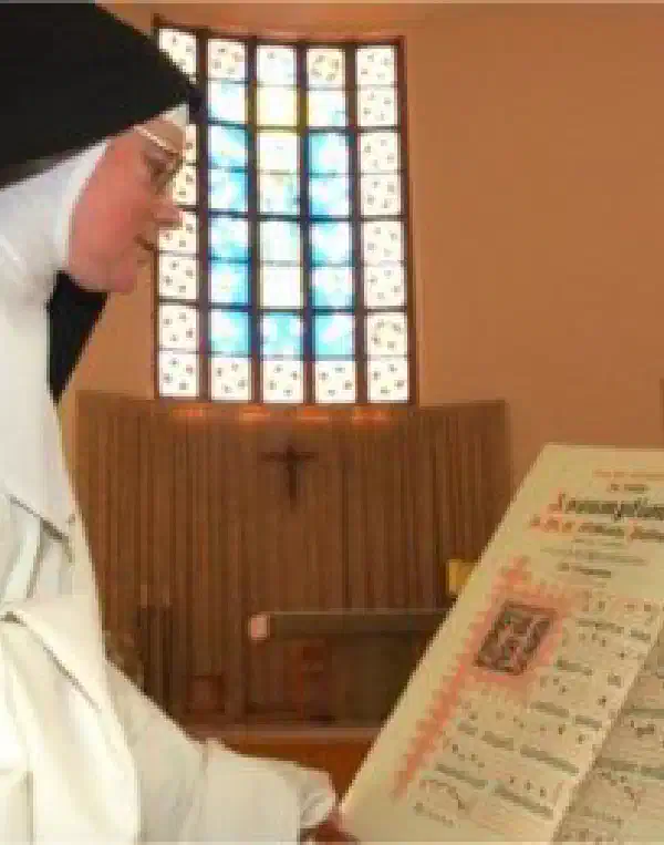 Ordo 2019-2020