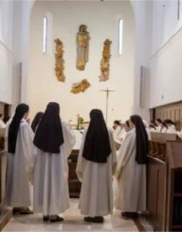 Ordo 2020-2021