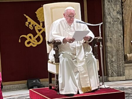 General News Papal Audience: addresses image 2
