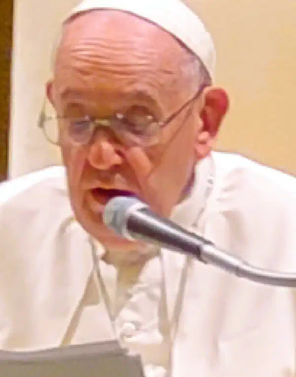 Audiencia papal: Discursos