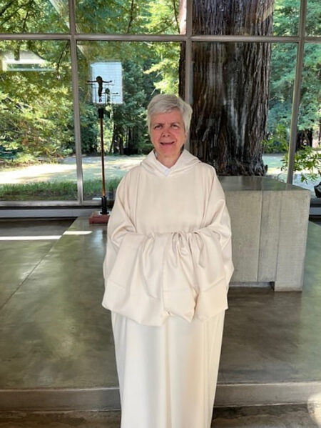 General News Redwoods image 1