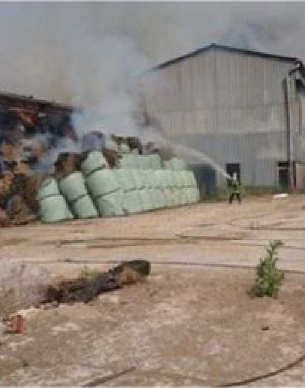 Order of Cistercians of the Strict Observance