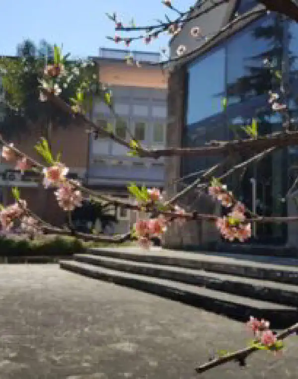 Travel of the Abbot General